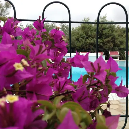Torre Delle Viole Aparthotel